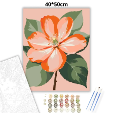 Creative Land Kft Légies barackvirág - számfestő készlet – 40×50 cm (Keretre feszítve) kreatív és készségfejlesztő
