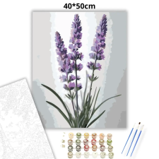 Creative Land Kft Letisztult levendulák - számfestő készlet kreatív és készségfejlesztő