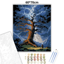 Creative Land Kft Misztikus villámok - számfestő készlet – 60×70 cm (Keret nélkül) kreatív és készségfejlesztő