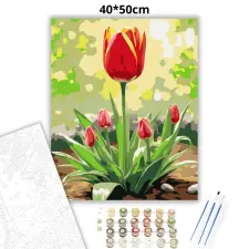 Creative Land Kft Napsütötte tulipán - számfestő készlet – 40×50 cm (Keretre feszítve) kreatív és készségfejlesztő