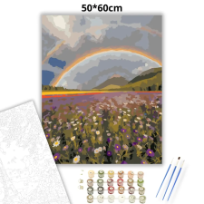 Creative Land Kft Szivárványos vadvirágmező - számfestő készlet – 50×60 cm (Keret nélkül) kreatív és készségfejlesztő