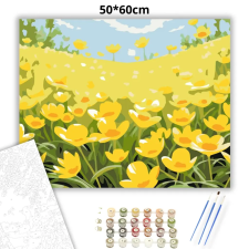 Creative Land Kft Tavaszi boglárkák - számfestő készlet – 50×60 cm (Keretre feszítve) kreatív és készségfejlesztő