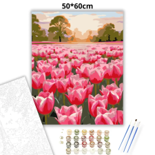 Creative Land Kft Tulipánmező - számfestő készlet – 50×60 cm (Keret nélkül) kreatív és készségfejlesztő