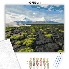 Creative Land Kft Vad mohás lávamező - számfestő készlet – 40×50 cm (Keretre feszítve) kreatív és készségfejlesztő