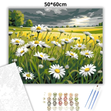 Creative Land Kft Viharfelhők árnyékában - számfestő készlet – 50×60 cm (Keretre feszítve) kreatív és készségfejlesztő