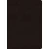 Crossway ESV Large Print Value Personal Size Bible, Red Letter (Trutone, Deep Brown)