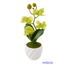  Cserepes gumi orchidea 22 cm - Zöld dekorációs kellék