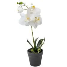  Cserepes orchidea gumi M38cm 12db/# dekorációs kellék