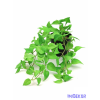  Cserepes real touch csüngős növény 64 - Foltos Zöld