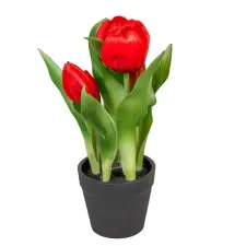  Cserepes tulipán gumi 5v. piros M22cm 12db/# dekorációs kellék