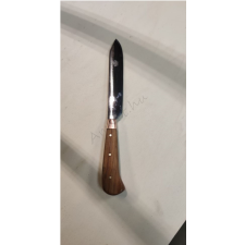  Cseresznye nyelű korabeli kés idegen nyelvű könyv