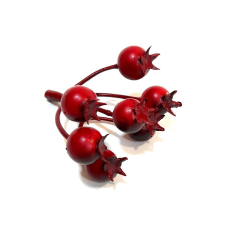  Csipkebogyó, 7 ágú. Bogyó mérete 1,5 cm dekorációs kellék