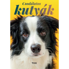 Csodálatos kutyák gyermek- és ifjúsági könyv