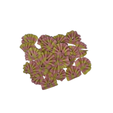 Csoki dísz - Masni 50g (pink-zöld) sütés és főzés