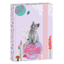 Cuki állatok füzetbox A/5, kitten, cicás füzetbox