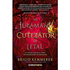  Curse Destroyers Vol. 3: Bátor és halálos eskü - Brigid Kemmerer regény