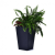 CURVER Rattan Planter M virágtartó
