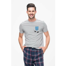 D&B Férfi/Unisex Póló PO00003 Aquarium Pocket Szürke-Méret 5XL férfi póló
