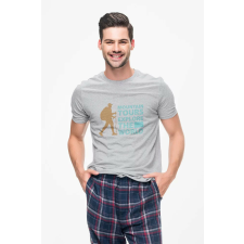  D&amp;B Férfi/Unisex Póló ST00160 Mountain Szürke-Méret 2XL férfi póló