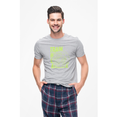 D&B Férfi/Unisex Póló ST00161 Athlete Szürke-Méret 5XL
