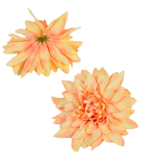  Dália virágfej D11cm barack D7 24db/csom dekorációs kellék