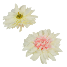  Dália virágfej D11cm krém pink D12 24db/csom dekorációs kellék