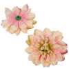 Dália virágfej D14cm 12db/csom D4
