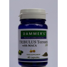 Dammer Dammers Tribulus Terrestris királydinnye kapszula 40 db gyógyhatású készítmény