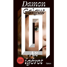 Damon Galgut - Az ígéret egyéb könyv