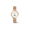 Daniel Wellington DANIEL WELLINGTON DW00100773 UNISEX karóra
