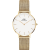 Daniel Wellington Petite Evergold 32mm Gold