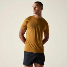Dare2be Tech II Tee Férfi gyorsan száradó póló színes férfi póló