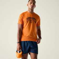 Dare2be Tech II Tee Férfi gyorsan száradó póló színes férfi póló