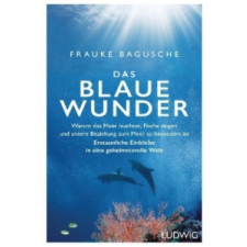  Das blaue Wunder – Frauke Bagusche idegen nyelvű könyv