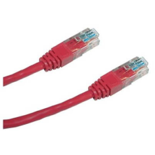 Datacom CAT6, UTP, 0,25 m, piros kábel és adapter