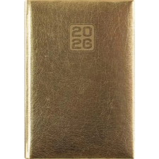 DAYLINER Mirror Naptár tervező A5 napi 2026 arany határidőnapló