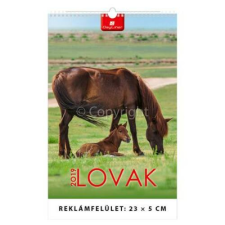 DAYLINER Naptár, fali, DAYLINER, "Lovak" naptár, kalendárium