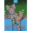 DAYLINER Naptár, fali, DAYLINER "Cicák"