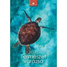 DAYLINER Naptár, fali, DAYLINER, "Természet varázsa" naptár, kalendárium