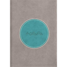 DAYLINER Naptár, tervező, A5, napi, DAYLINER "Central", szürke-türkiz határidőnapló