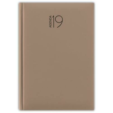 DAYLINER Naptár, tervező, A5, napi, DAYLINER, "Pannon", natúr határidőnapló