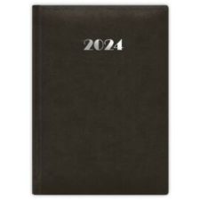 DAYLINER Naptár, tervező, A5, napi, DAYLINER, "Pellana", fekete határidőnapló