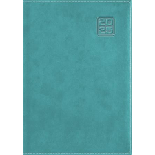 DAYLINER Naptár, tervező, A5, napi, DAYLINER "Square", türkiz határidőnapló