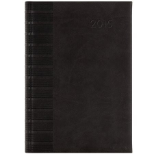 DAYLINER Naptár, tervező, A5, napi, DAYLINER, "Tucson", fekete határidőnapló