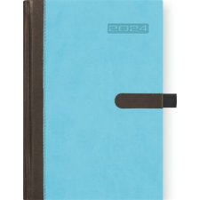 DAYLINER Naptár, tervező, A5, napi, DAYLINER, "Winner", kék határidőnapló