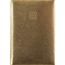 DAYLINER Naptár, tervező, B6, heti, DAYLINER, Mirror, arany (NMHB6AU) határidőnapló