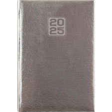 DAYLINER Naptár, tervező, B6, heti, DAYLINER, "Mirror", ezüst határidőnapló