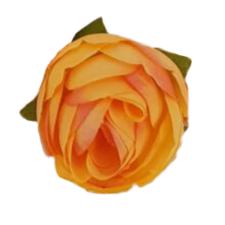 DC Begónia fej 3cm barack dekorációs kellék