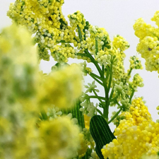 DC Bogyós csokor sárga 1db dekorációs kellék