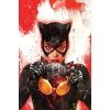 DC Comics Catwoman Vol. 4: Where the Heart Is | Davide Gianfelice